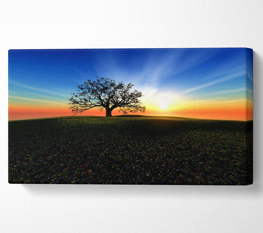  A Canvas Print of Sunset Hill Canvas Wall Art