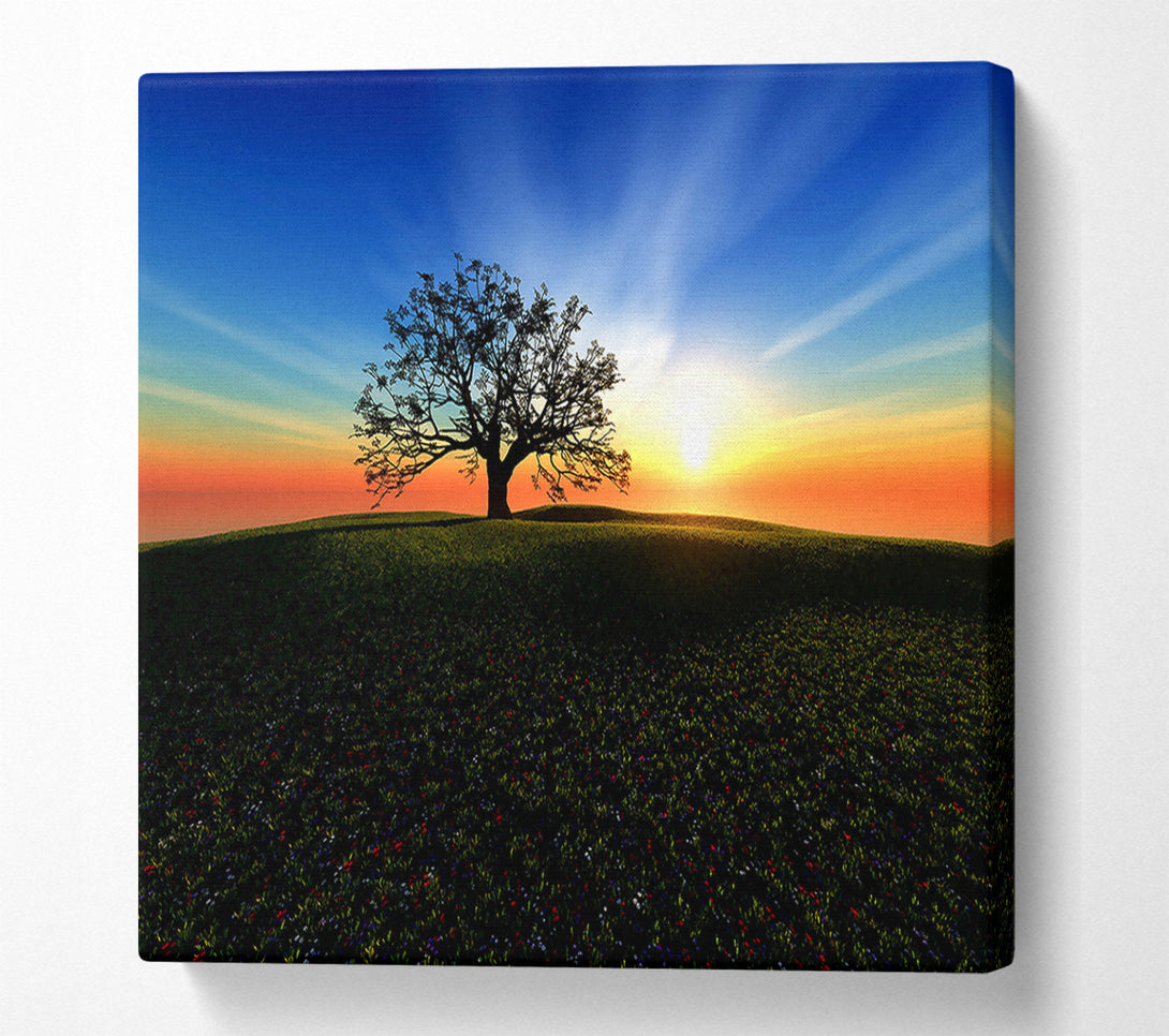  A Canvas Print of Sunset Hill Canvas Wall Art