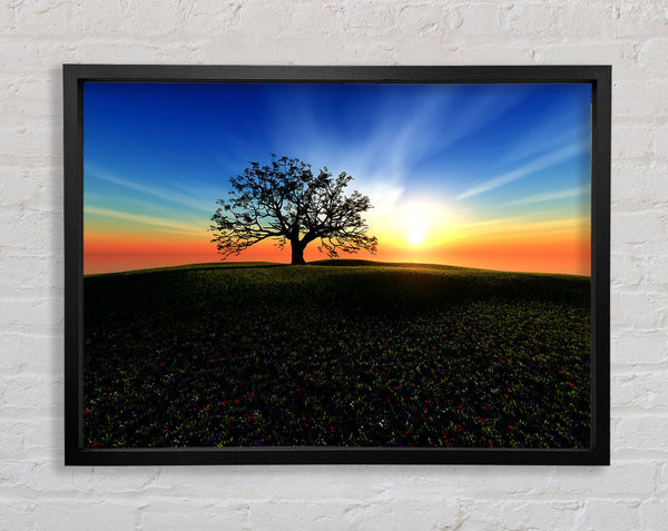 Sunset Hill Framed Print