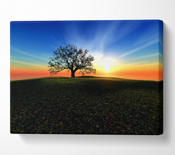  A Canvas Print of Sunset Hill Canvas Wall Art