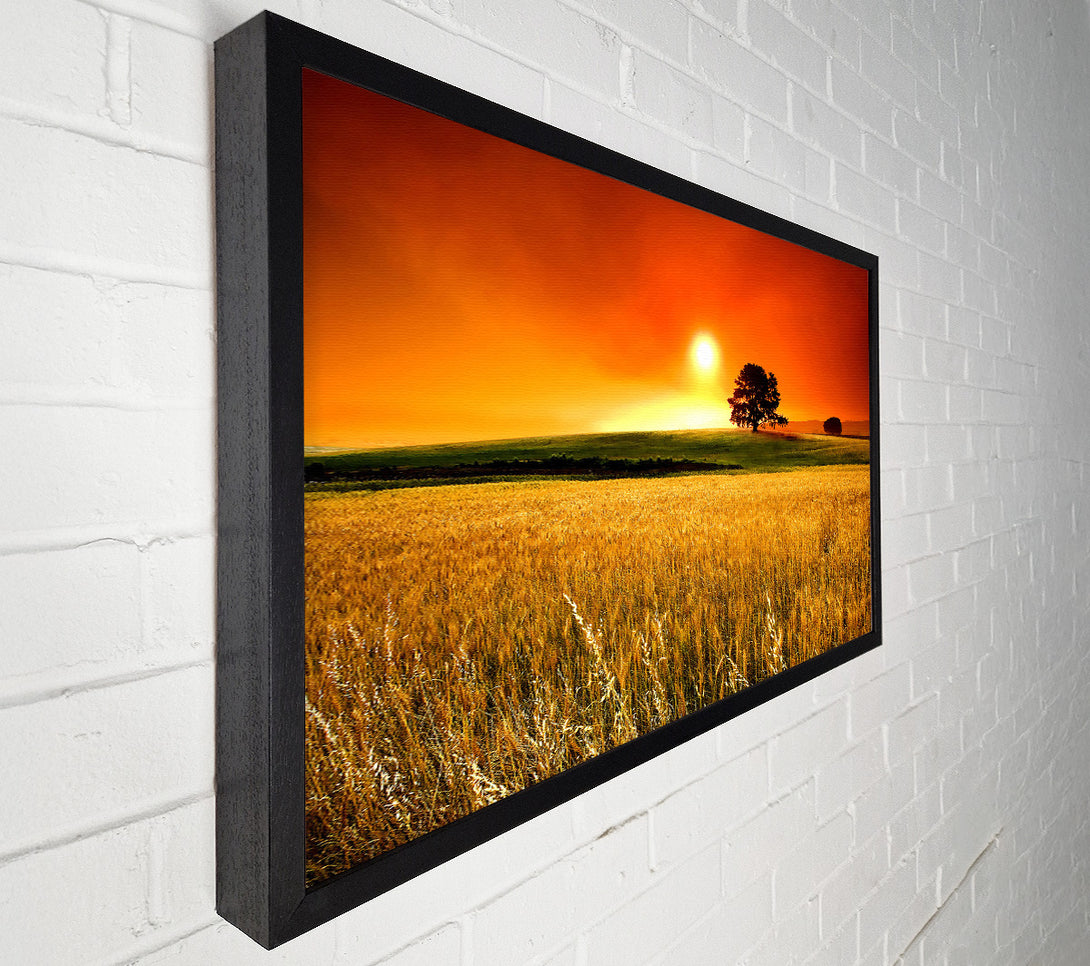  A Canvas Print of Sunny Day Canvas Print