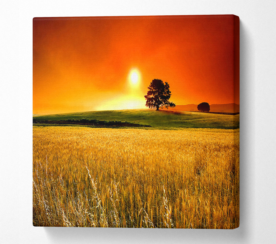  A Canvas Print of Sunny Day Canvas Print