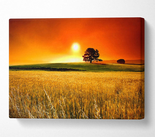  A Canvas Print of Sunny Day Canvas Print