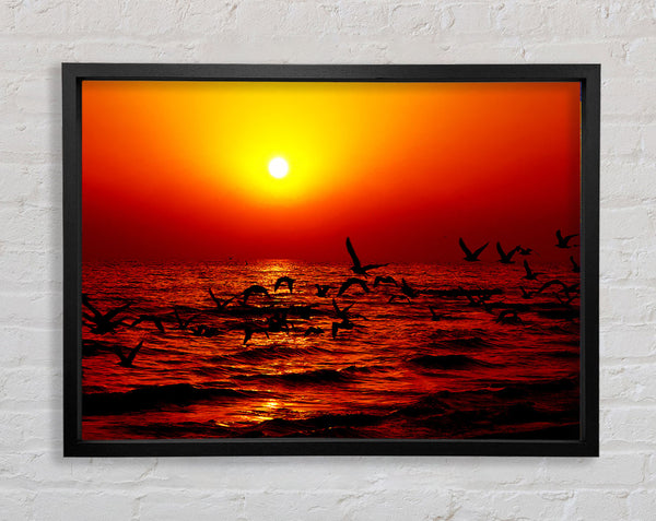 Red Ocean Flight Framed Print
