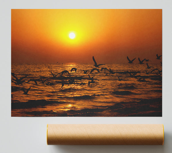 Ocean Flight Print