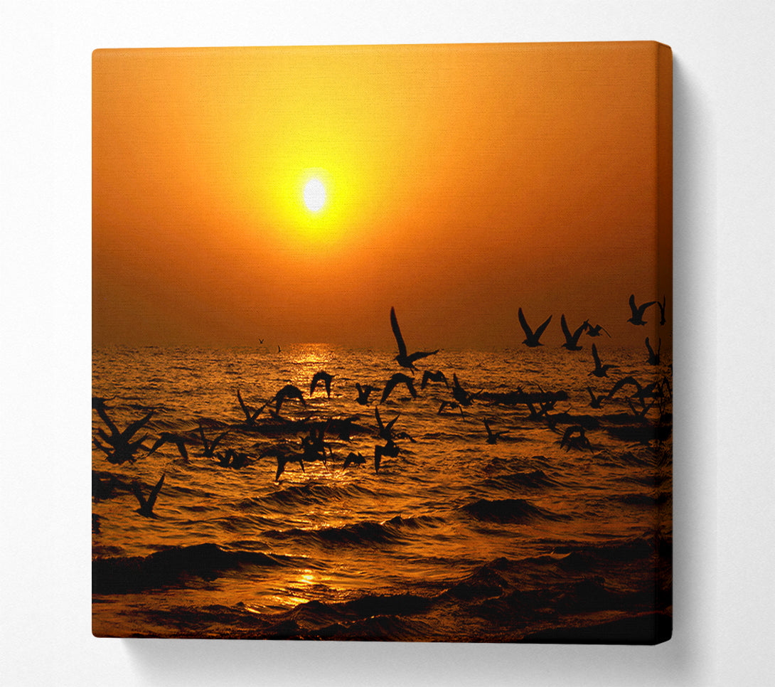  A Canvas Print of Ocean Flight Canvas Print