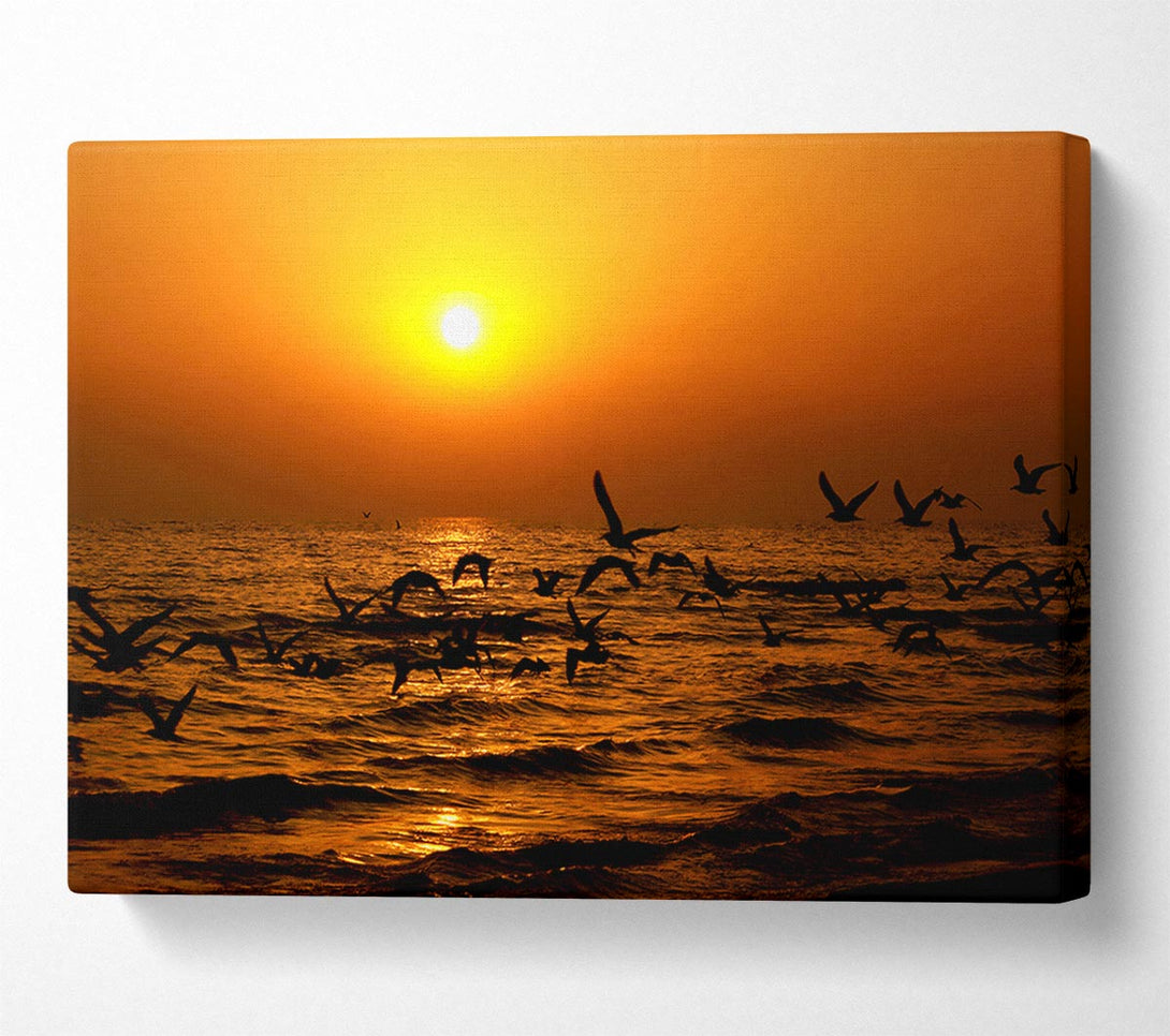  A Canvas Print of Ocean Flight Canvas Print