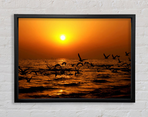 Ocean Flight Framed Print
