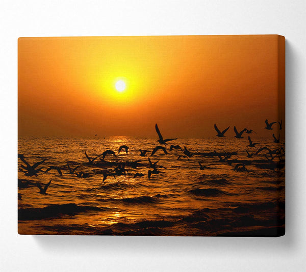  A Canvas Print of Ocean Flight Canvas Print