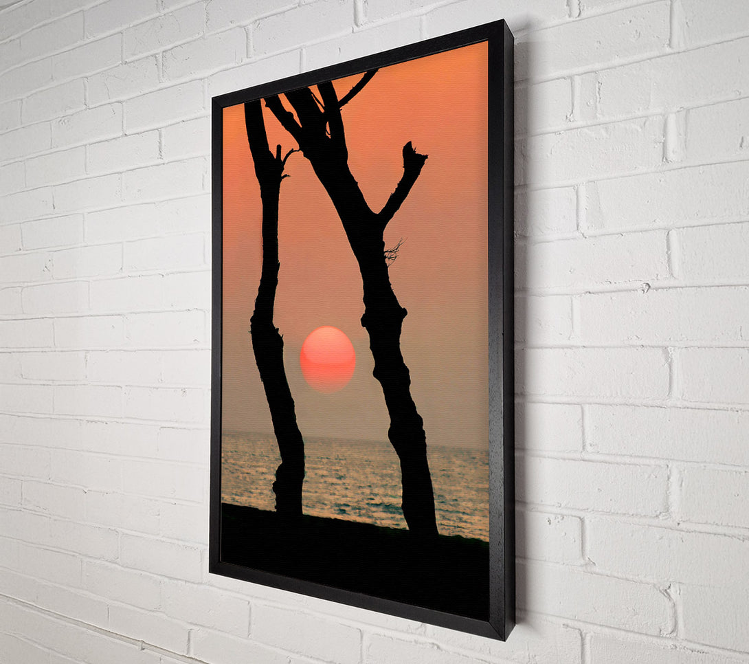  A Canvas Print of Red Sun Through The Ocean Trees Canvas Print