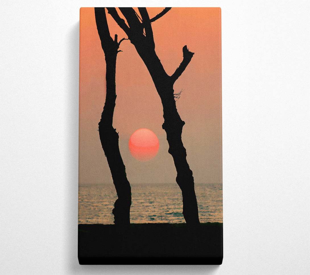  A Canvas Print of Red Sun Through The Ocean Trees Canvas Print