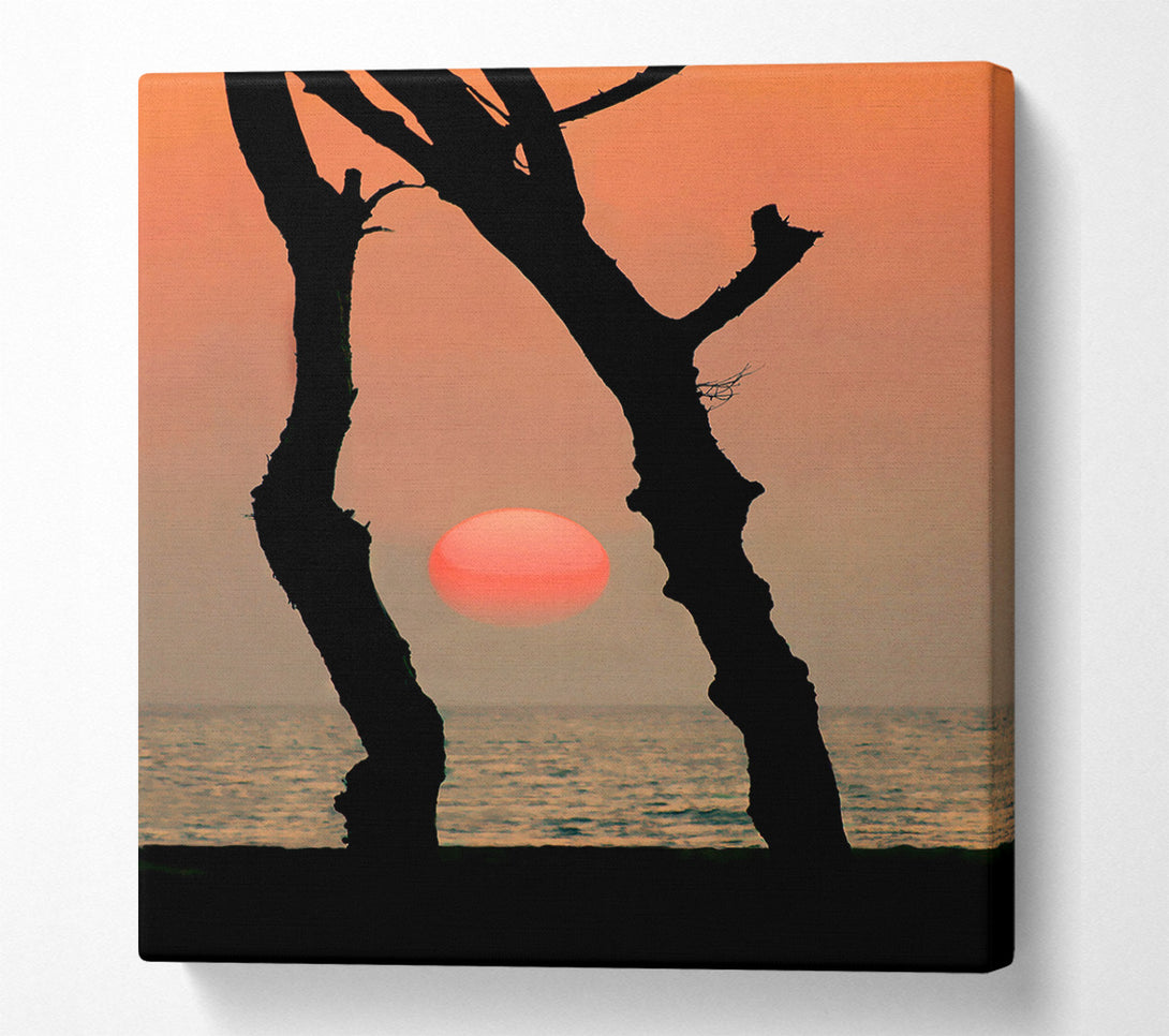  A Canvas Print of Red Sun Through The Ocean Trees Canvas Print