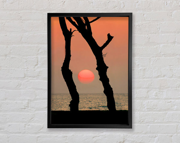 Red Sun Through The Ocean Trees Framed Print