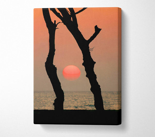  A Canvas Print of Red Sun Through The Ocean Trees Canvas Print