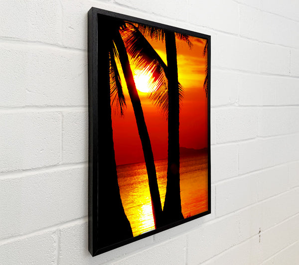 Golden Reflections Of The Palmtree Sun