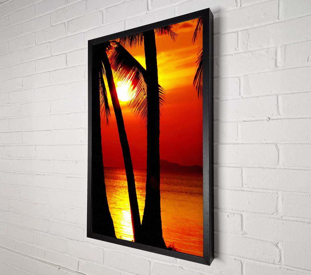  A Canvas Print of Golden Reflections Of The Palmtree Sun Canvas Art