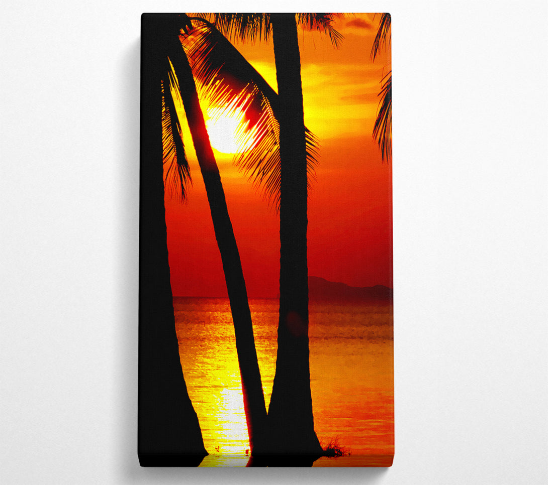  A Canvas Print of Golden Reflections Of The Palmtree Sun Canvas Art