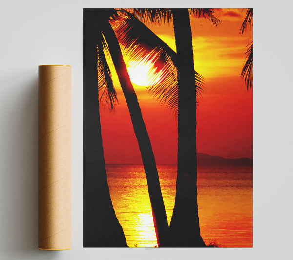 Golden Reflections Of The Palmtree Sun Poster