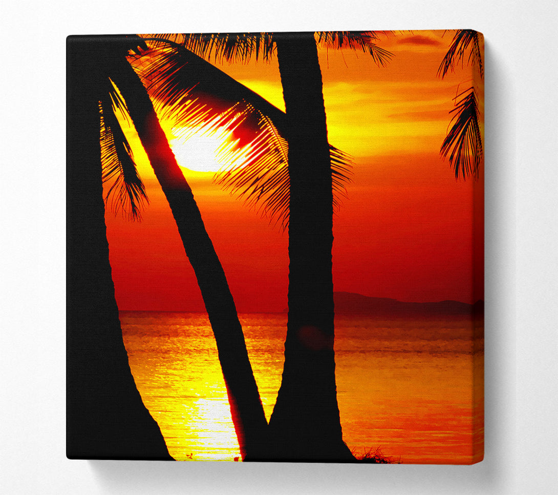 A Canvas Print of Golden Reflections Of The Palmtree Sun Canvas Art