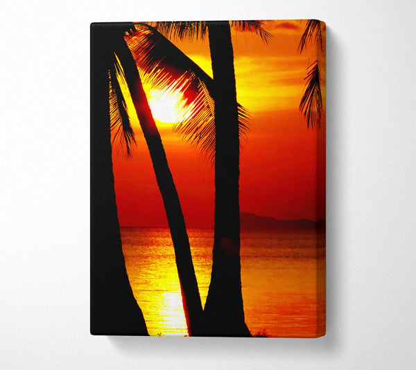  A Canvas Print of Golden Reflections Of The Palmtree Sun Canvas Art