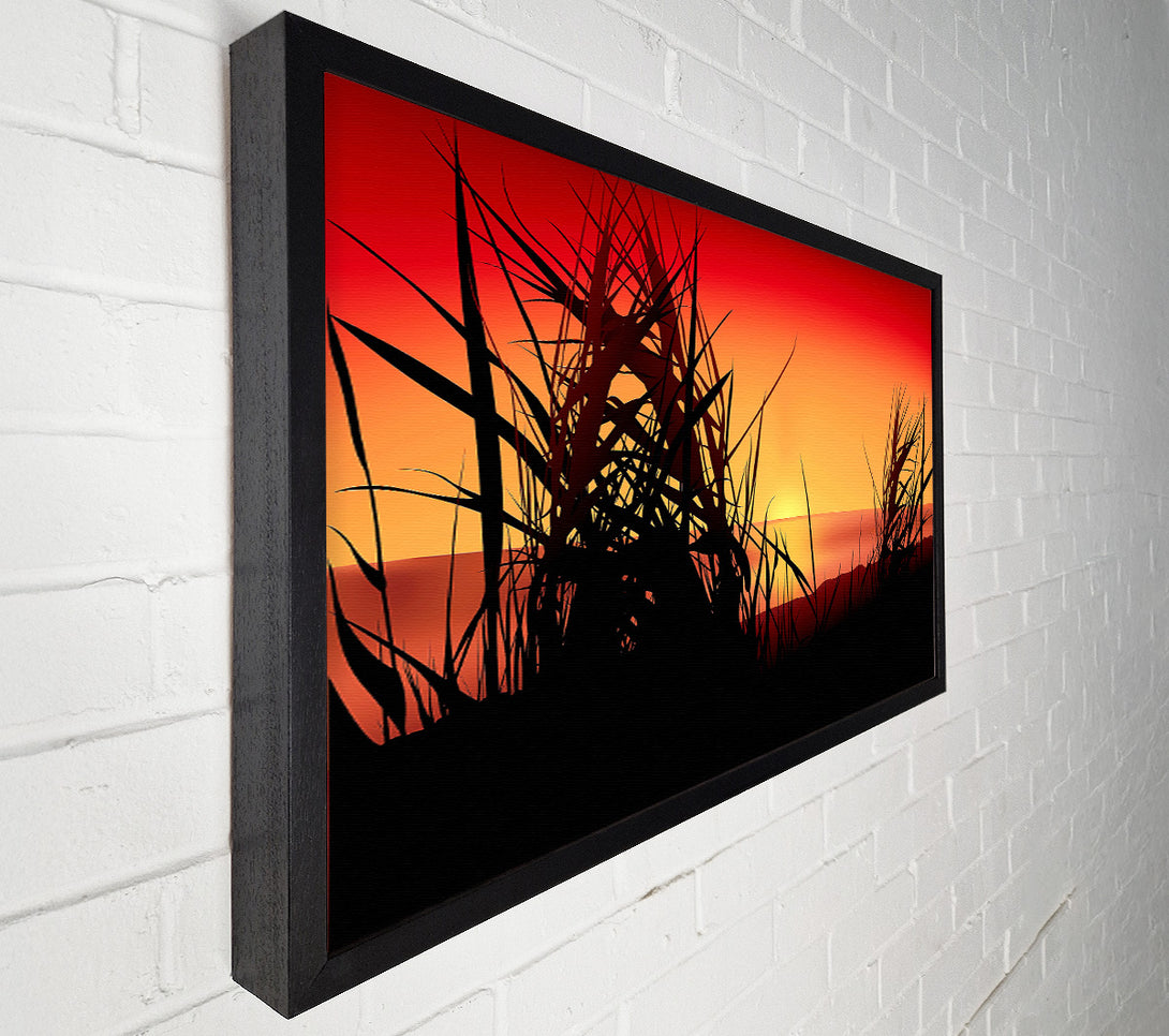  A Canvas Print of The Sunset Reeds Canvas Print