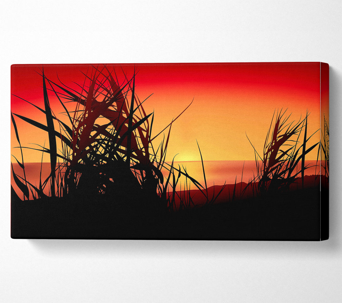  A Canvas Print of The Sunset Reeds Canvas Print