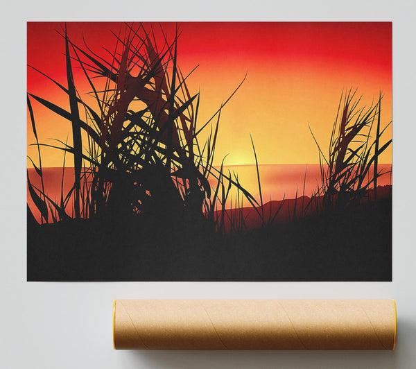 The Sunset Reeds Poster