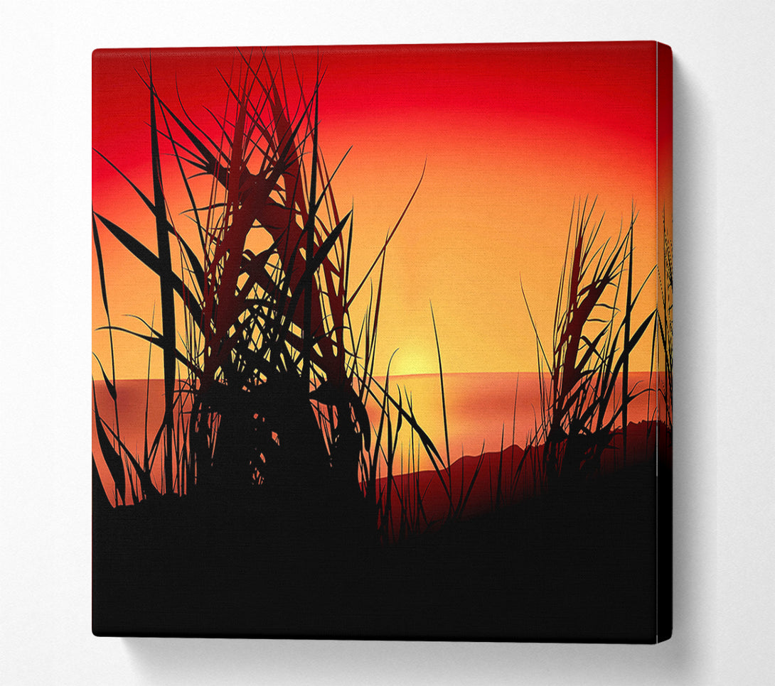  A Canvas Print of The Sunset Reeds Canvas Print