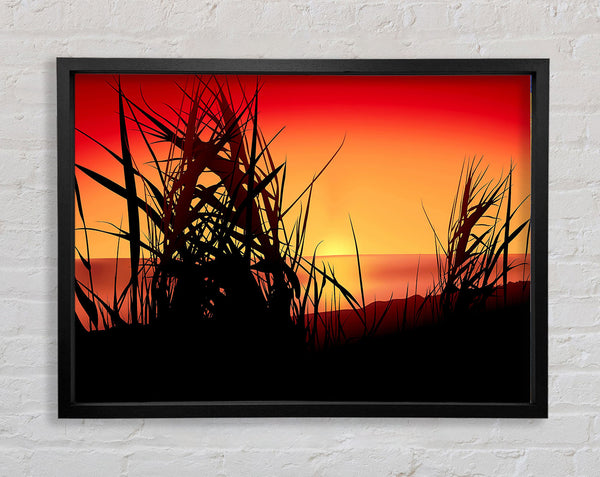 The Sunset Reeds Framed Print