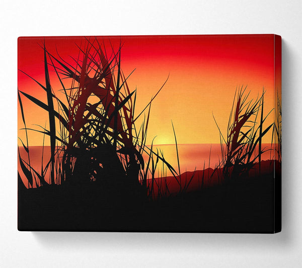  A Canvas Print of The Sunset Reeds Canvas Print