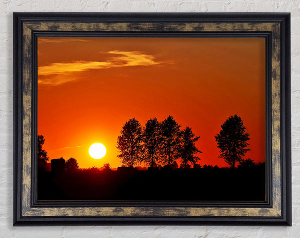 Orange Tree Horizon Framed Print