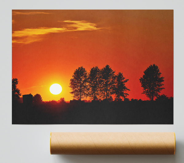 Orange Tree Horizon Print