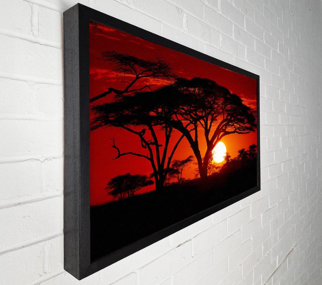  A Canvas Print of As The Night Falls Canvas Wall Art