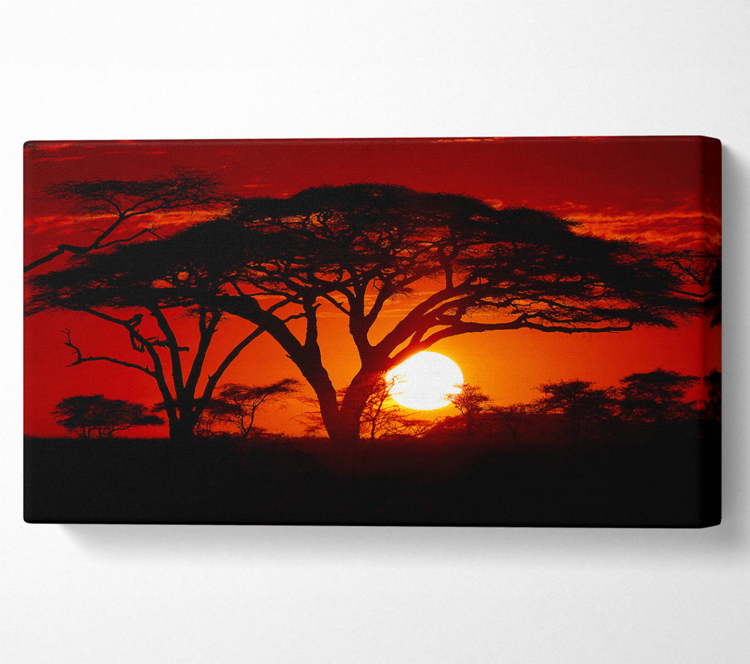  A Canvas Print of As The Night Falls Canvas Wall Art