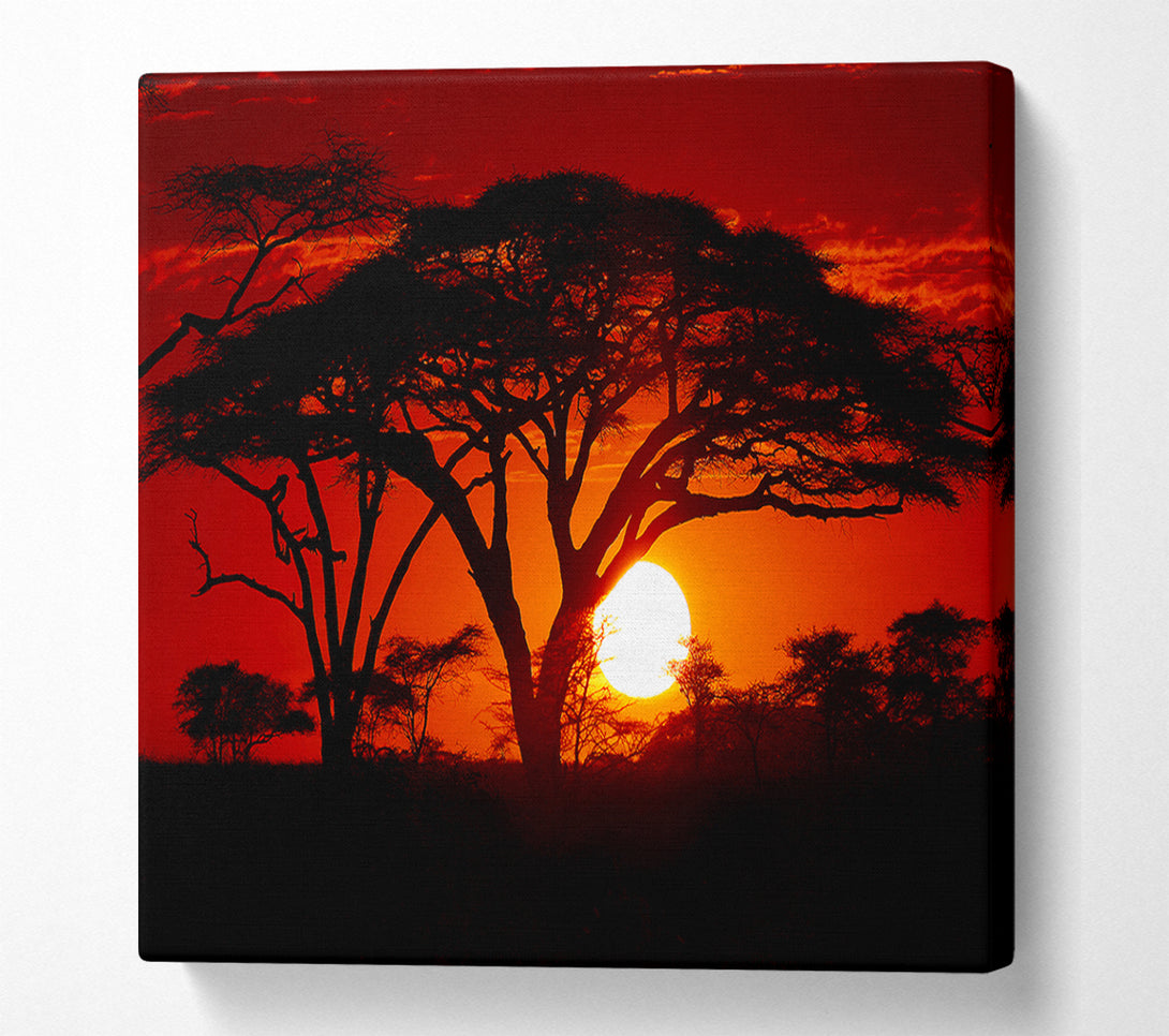  A Canvas Print of As The Night Falls Canvas Wall Art