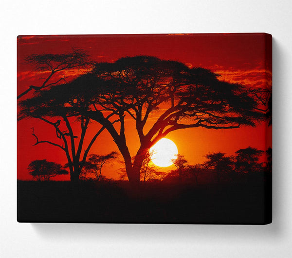 A Canvas Print of As The Night Falls Canvas Wall Art
