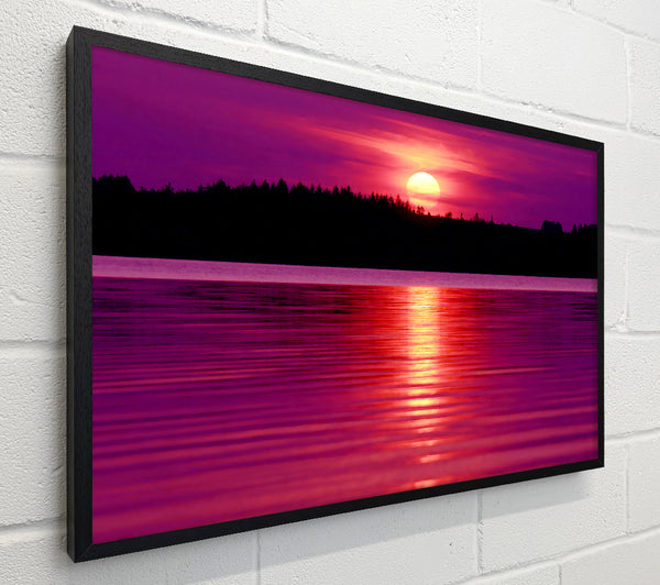 Pink Lake Reflections