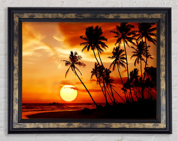 Palmtree Sunset Over The Ocean Framed Print