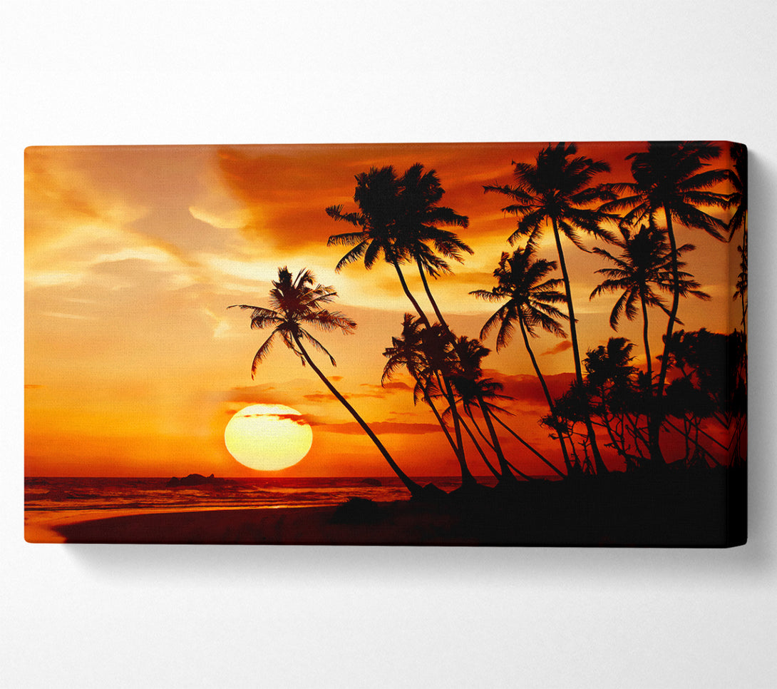  A Canvas Print of Palmtree Sunset Over The Ocean Canvas Art