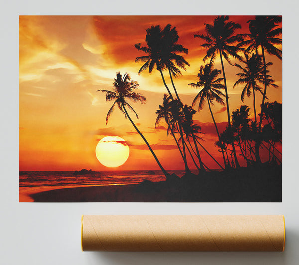 Palmtree Sunset Over The Ocean Giclee Print