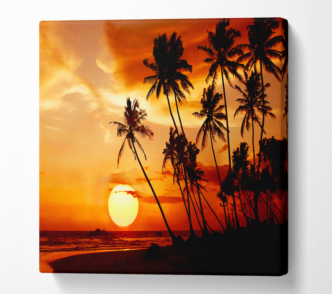  A Canvas Print of Palmtree Sunset Over The Ocean Canvas Art
