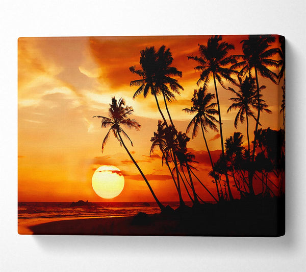  A Canvas Print of Palmtree Sunset Over The Ocean Canvas Art