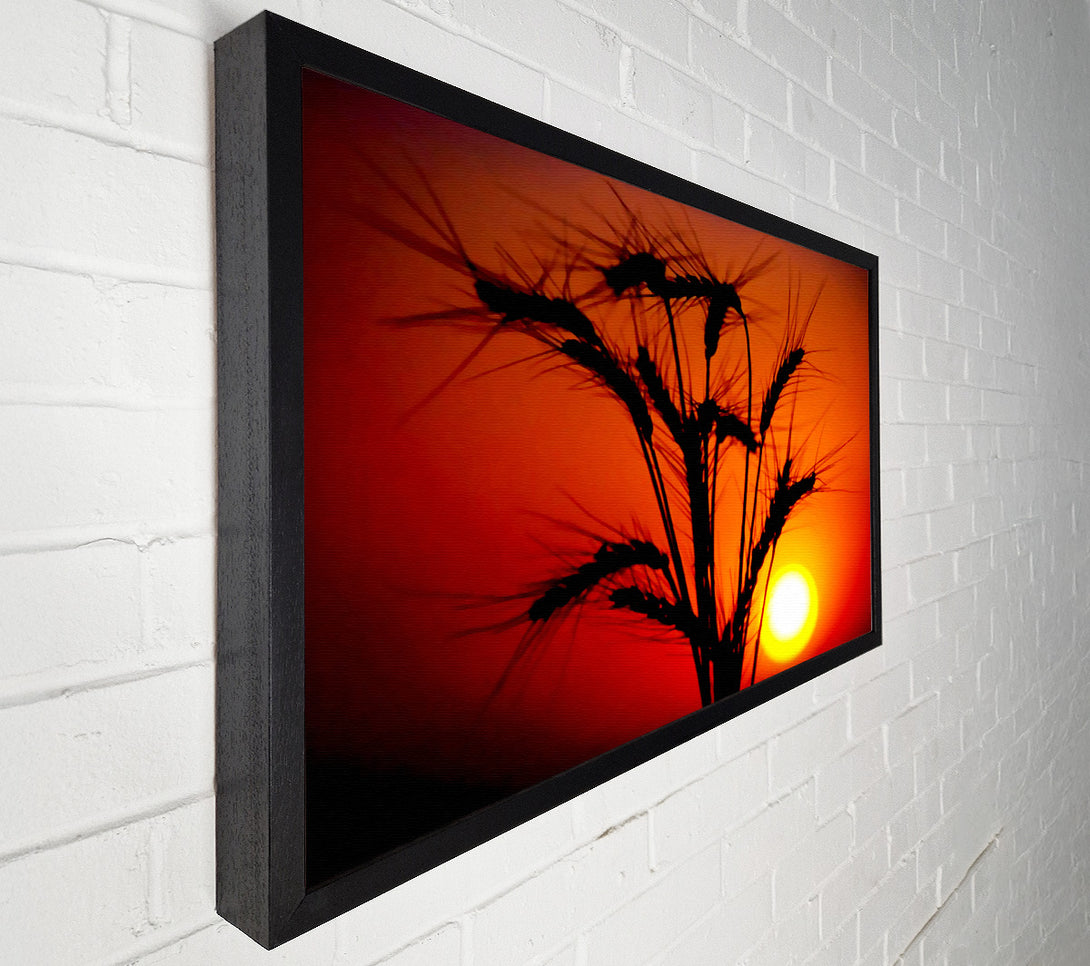  A Canvas Print of The Wheats Source Of Energy Canvas Print