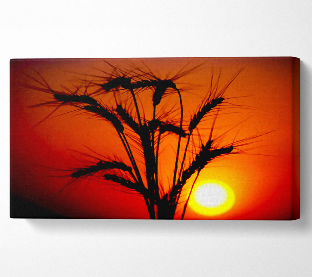 A Canvas Print of The Wheats Source Of Energy Canvas Print