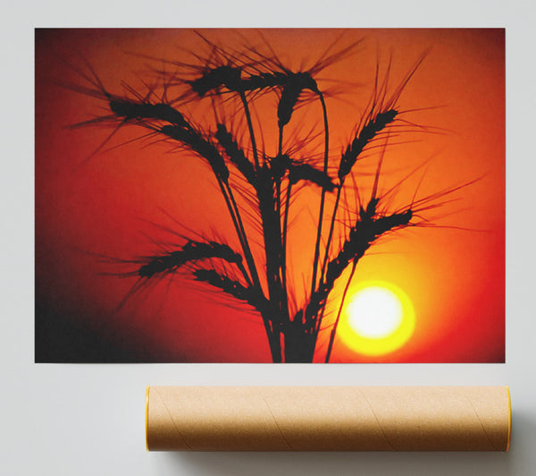 The Wheats Source Of Energy Poster