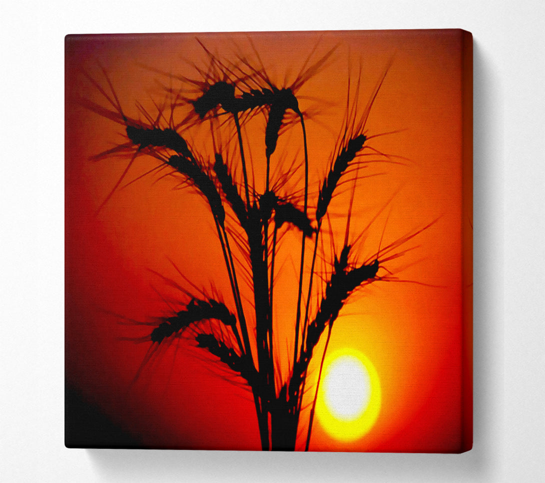  A Canvas Print of The Wheats Source Of Energy Canvas Print