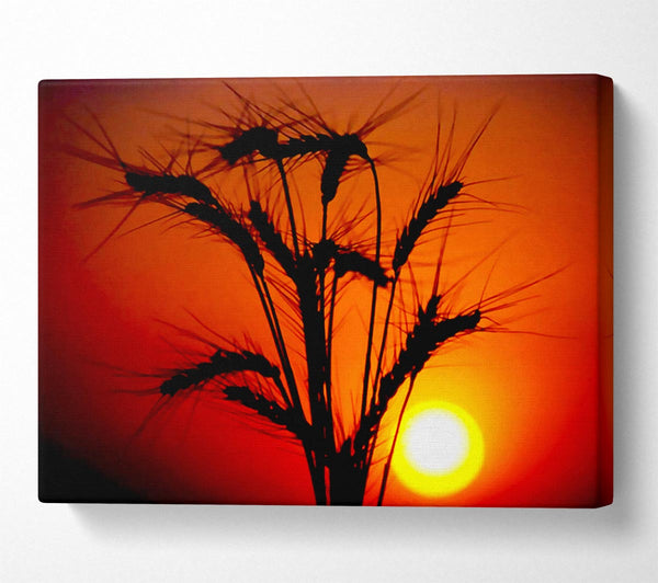  A Canvas Print of The Wheats Source Of Energy Canvas Print