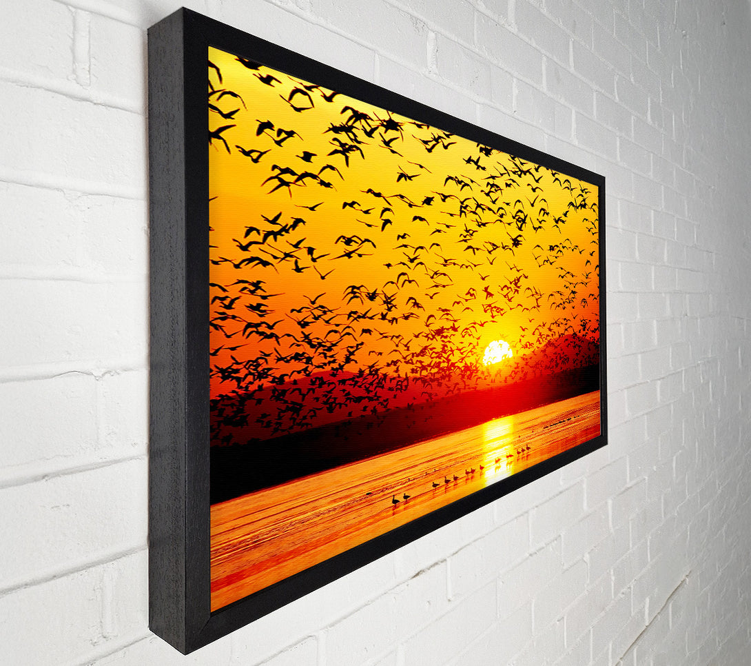  A Canvas Print of The Birds In The Golden Sunset Canvas Wall Art