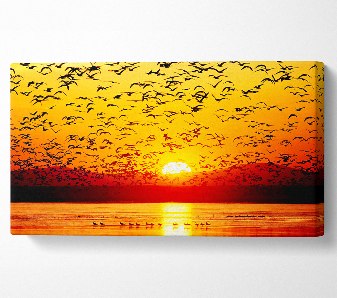  A Canvas Print of The Birds In The Golden Sunset Canvas Wall Art