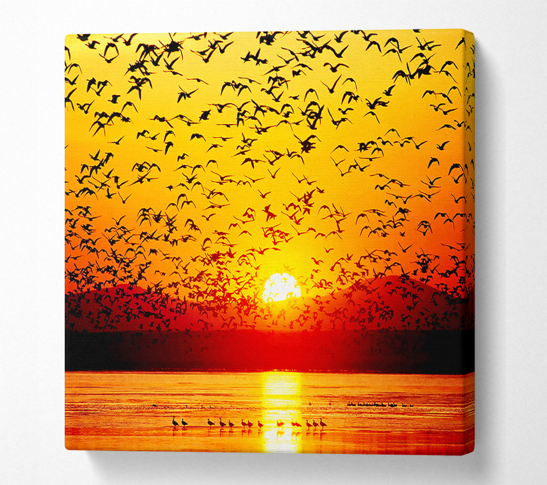  A Canvas Print of The Birds In The Golden Sunset Canvas Wall Art